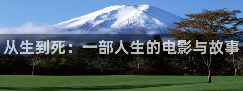 神马电影视大全