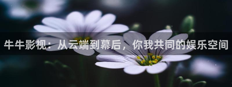 好男人在线观看神马影视www