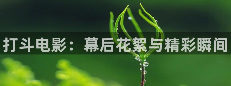神马电影手机我不卡