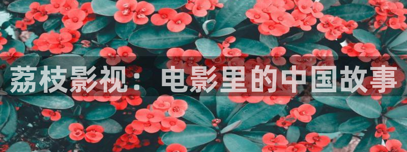 以前的神马电影网：荔枝影视：电影里的中国故事