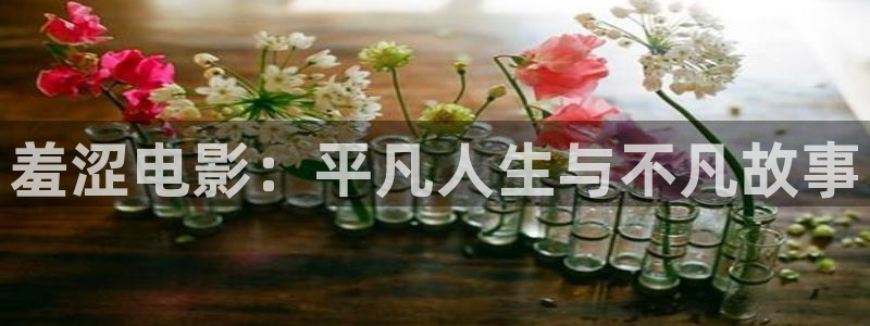 欧美神马午夜电影：羞涩电影：平凡人生与不凡故事