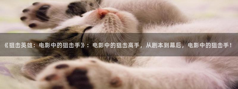 神马马影院：《狙击英雄：电影中的狙击手》：电影中的狙击高手，从剧本到幕后，电影中的狙击手！