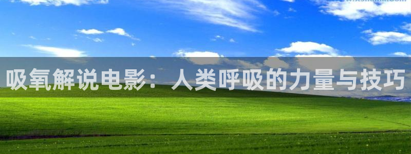 韩国电影 神马