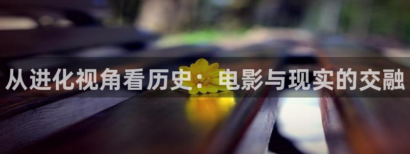 6080神马伦理片：从进化视角看历史：电影与现实的交融