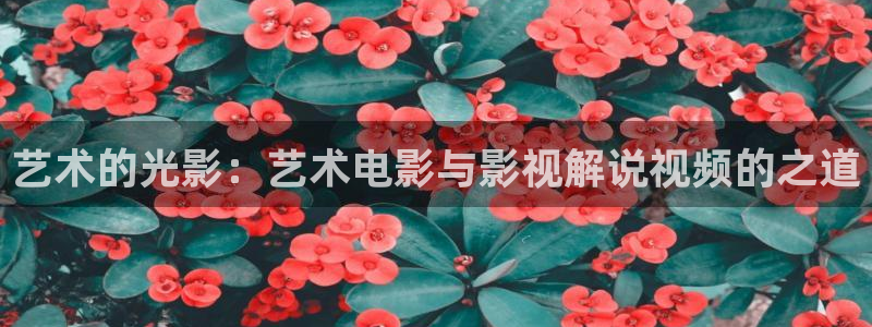 善良的嫂子神马影视：艺术的光影：艺术电影与影视解说视频的之道
