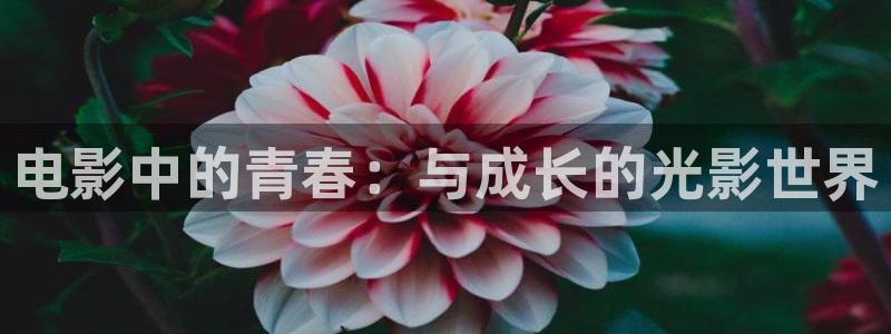 ok天堂神马影院：电影中的青春：与成长的光影世界