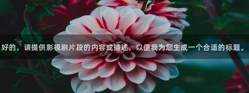鸭王在线观看神马影院：好的，请提供影视剧片段的内容或描述，以便我为您生成一个合适的标题。