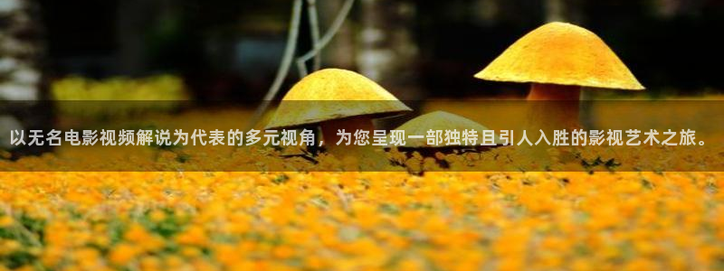 神马电影院免费电影：以无名电影视频解说为代表的多元视角，为您呈现一部独特且引人入胜的影视艺术之旅。