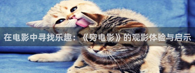 神马免费高清影院在线观看：在电影中寻找乐趣：《穷电影》的观影体验与启示