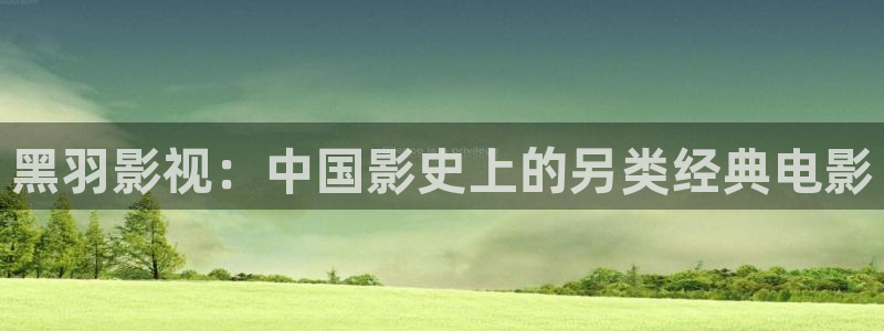 神马影院97影院：黑羽影视：中国影史上的另类经典电影
