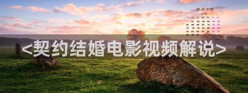 神马影院姐姐的朋友：<契约结婚电影视频解说>