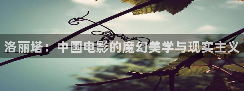 善良的嫂子电影神马在线观看