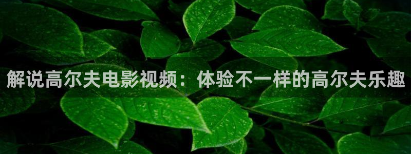 女友的妈妈神马影院：解说高尔夫电影视频：体验不一样的高尔夫乐趣