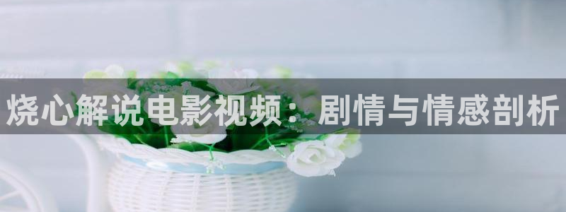 good电影神马电影：烧心解说电影视频：剧情与情感剖析
