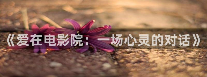 神马午夜免费电影院