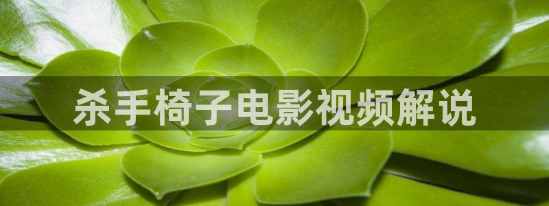 午夜看片神马：杀手椅子电影视频解说