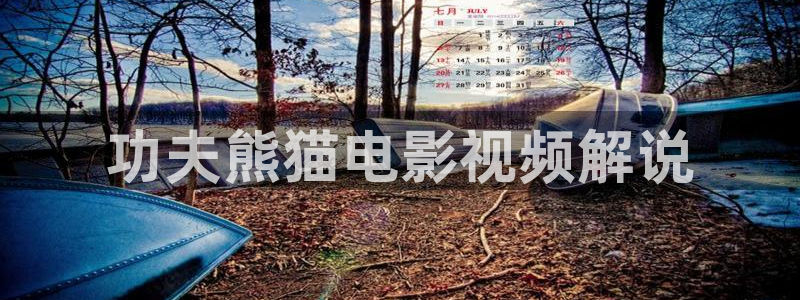 神马午夜伦理888：功夫熊猫电影视频解说