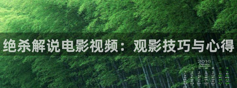 神马影视院在线观看：绝杀解说电影视频：观影技巧与心得