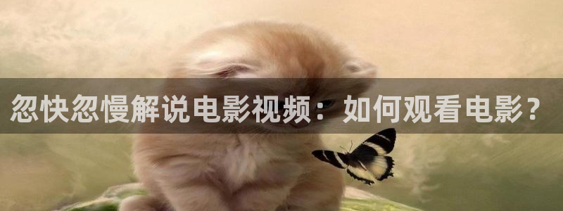 神马我不卡手机影院在线观看