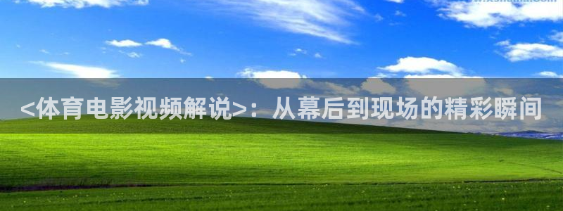 神马电影街：<体育电影视频解说>：从幕后到现场的精彩瞬间