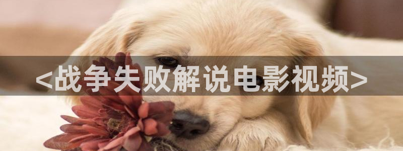 电影神马在线观看：<战争失败解说电影视频>