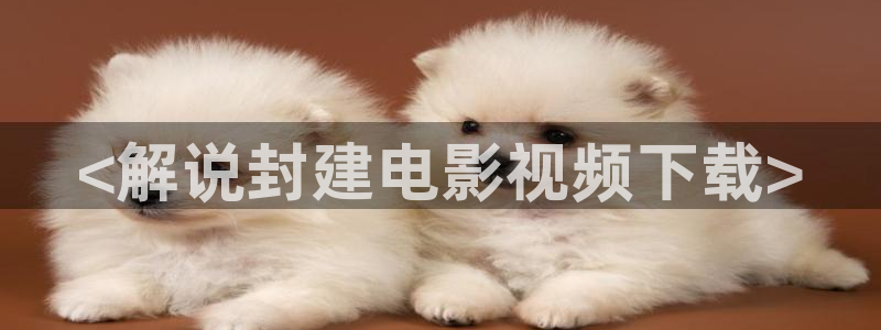 神马老子我不卡：<解说封建电影视频下载>