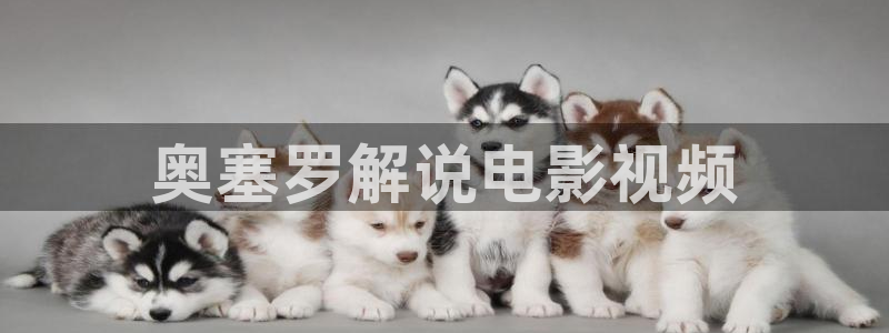 神马影院午夜影视：奥塞罗解说电影视频