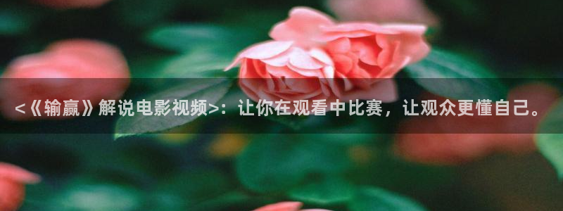 神马第九影院在线：<《输赢》解说电影视频>：让你在观看中比赛，让观众更懂自己。