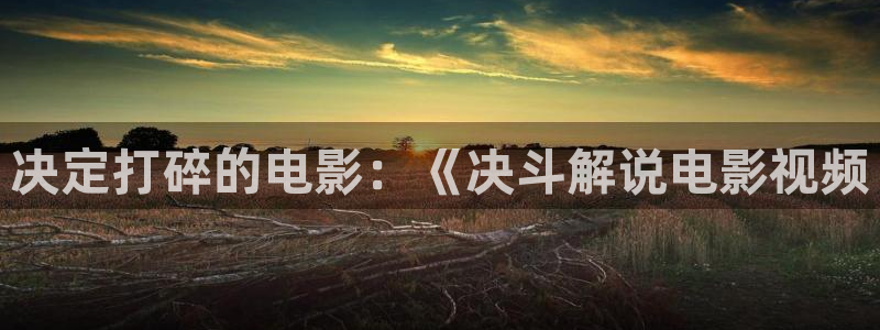 神马影院电影影院：决定打碎的电影：《决斗解说电影视频