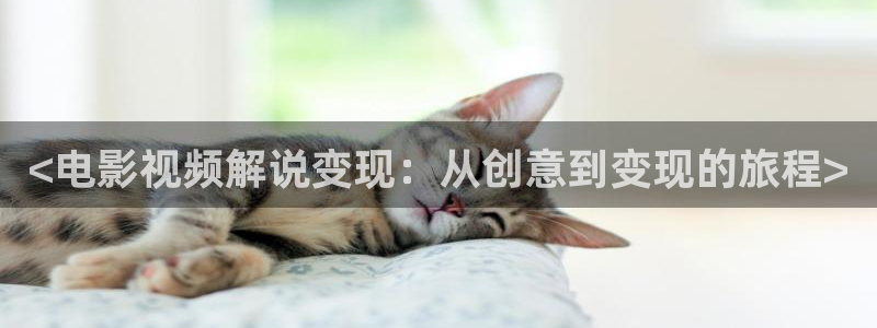 神马影院爱的色放