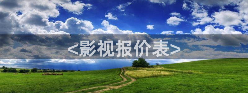 午夜影视神马影院：<影视报价表>