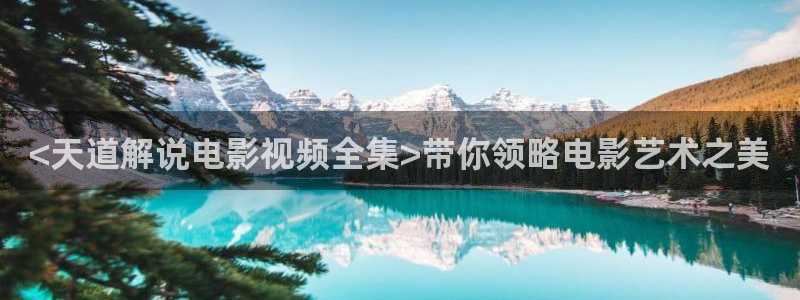 神马在线看片：<天道解说电影视频全集>带你领略电影艺术之美
