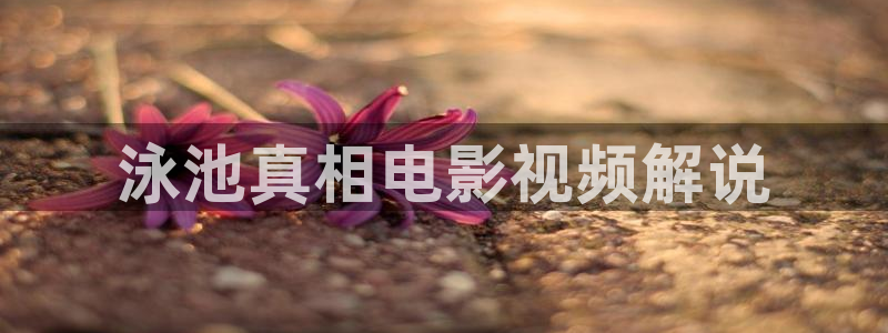 神马影视官网：泳池真相电影视频解说