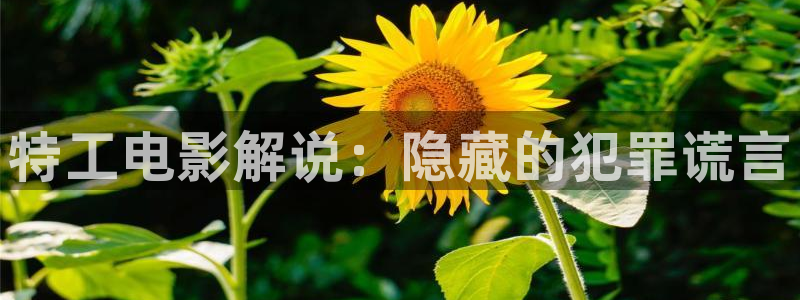神马影院6090：特工电影解说：隐藏的犯罪谎言