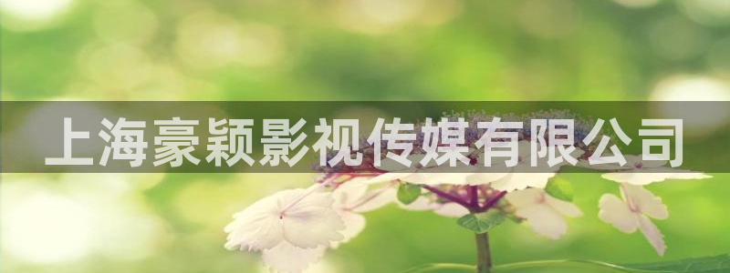 九七神马电影院：上海豪颖影视传媒有限公司