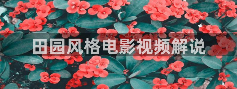 原来神马达达兔电影网免费：田园风格电影视频解说