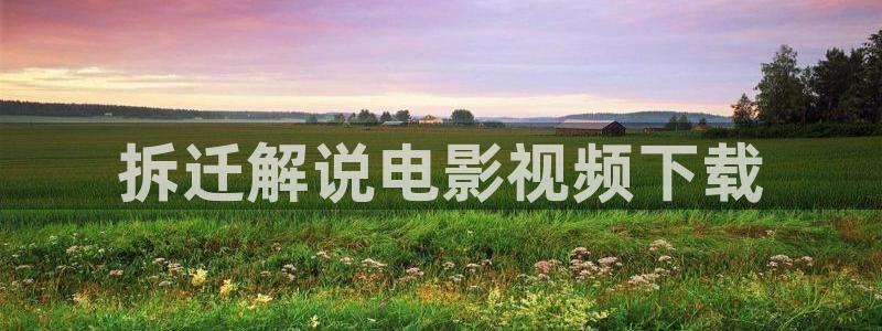 神马午夜影视达达兔：拆迁解说电影视频下载