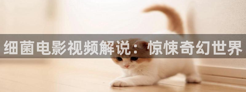 神马电影九九：细菌电影视频解说：惊悚奇幻世界