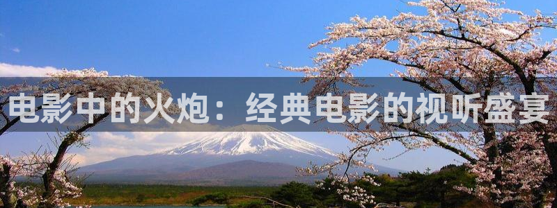 神马院线电影：电影中的火炮：经典电影的视听盛宴