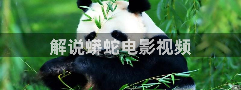 午夜神马影院理论片：解说蟒蛇电影视频