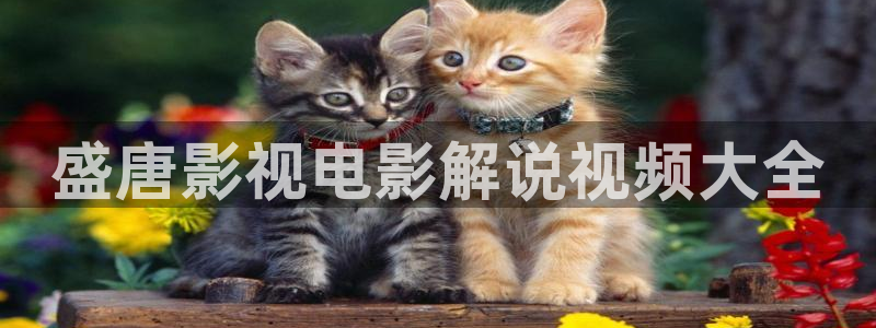 午夜影院神马影院