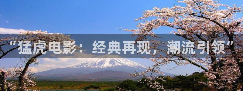 神马电影网秋霞网址