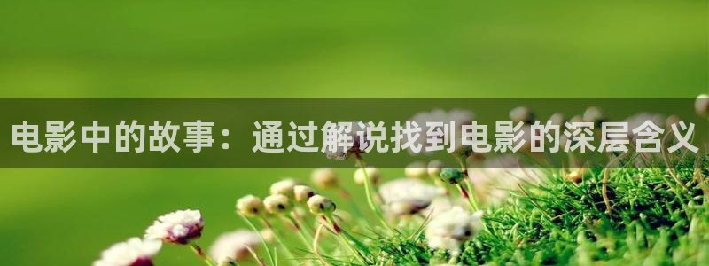 电视剧神马影院