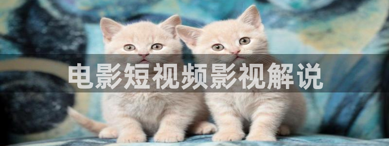 我不卡神马影院在线播放