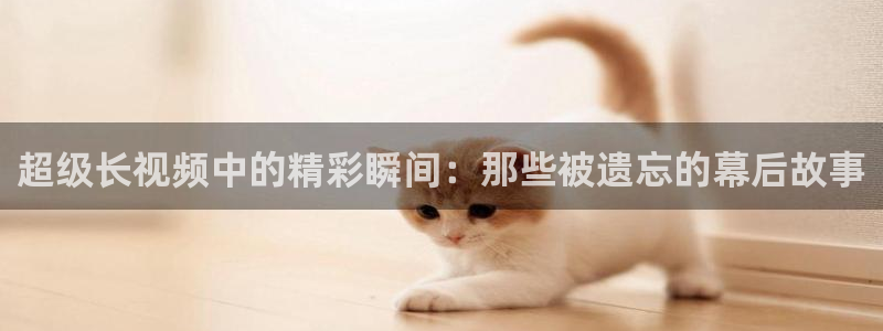 6080神马电影院手机高清在线
