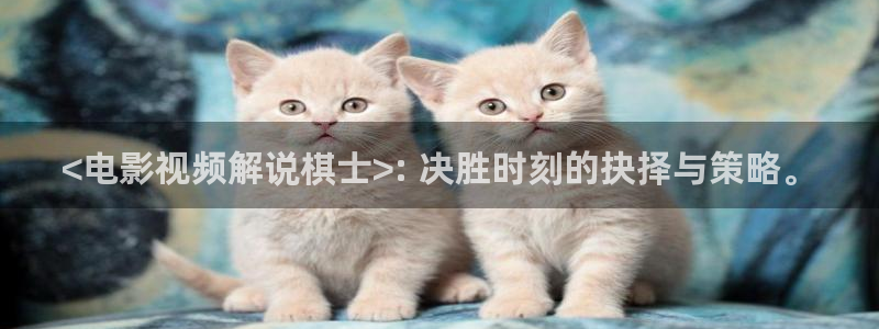 神马理论影院电影