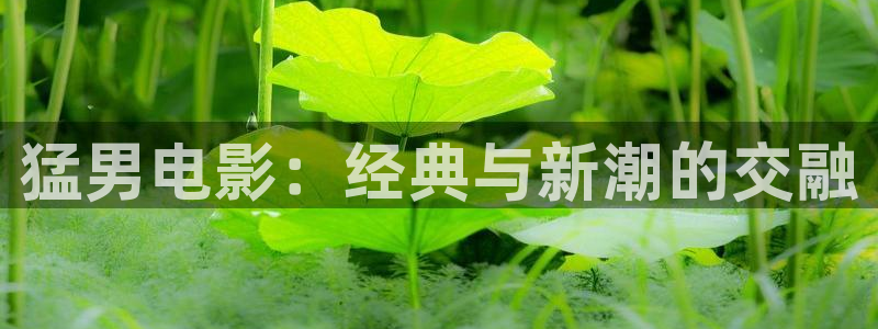 神马我不卡手机影视