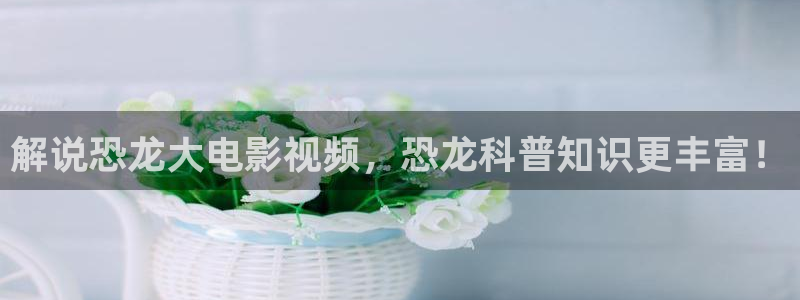 原神马伦理片