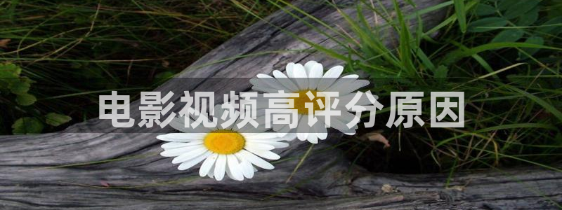 神马午夜精品福利影院