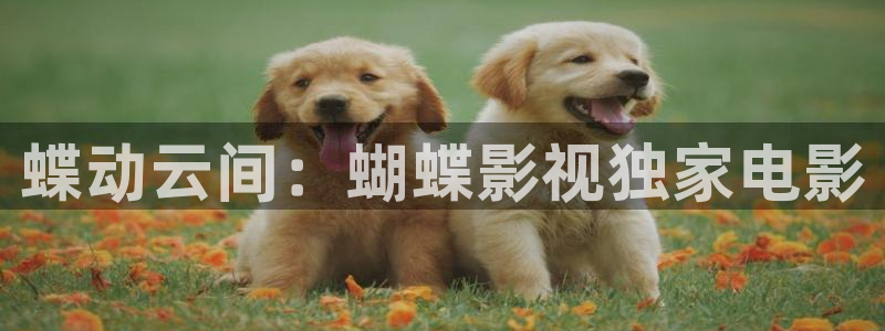神马影院地址